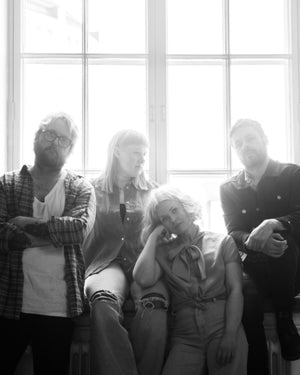 Ne lintuizet - Uusi huone (VINYYLI).