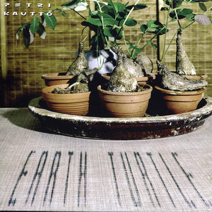 PETRI KAUTTO - Earth Turtle